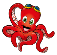 Octopus: een veelzijdig zwembad
