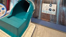 Kom gratis zwemmen en vier de heropening van de glijbaan!