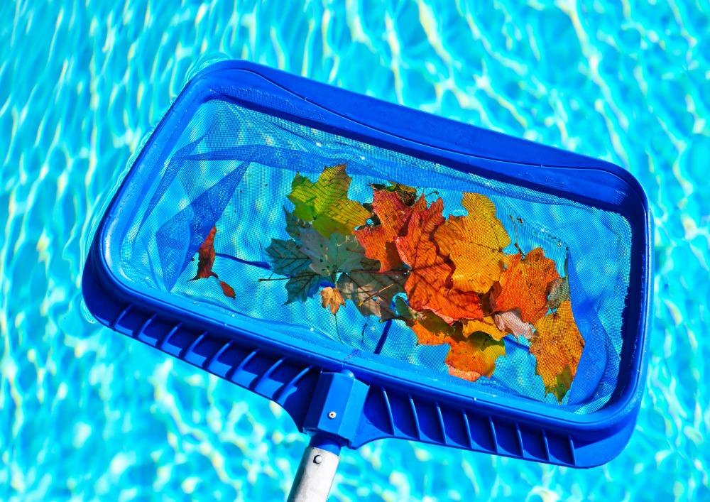 Blauw zwembadschepje schept herfstblaadjes uit een zwembad